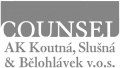 Logo Counsel 2011.jpg